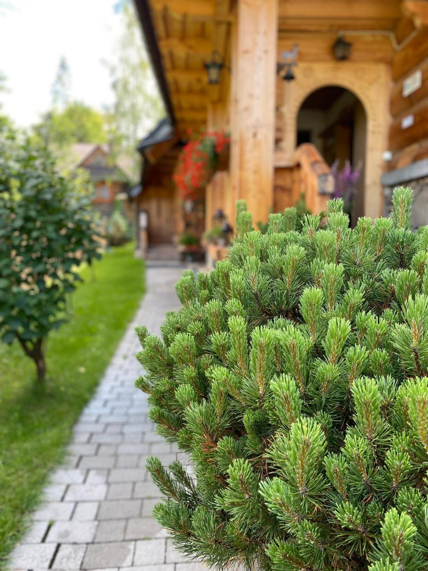 Apartamenty u Giewonta Zakopane Buitenkant foto